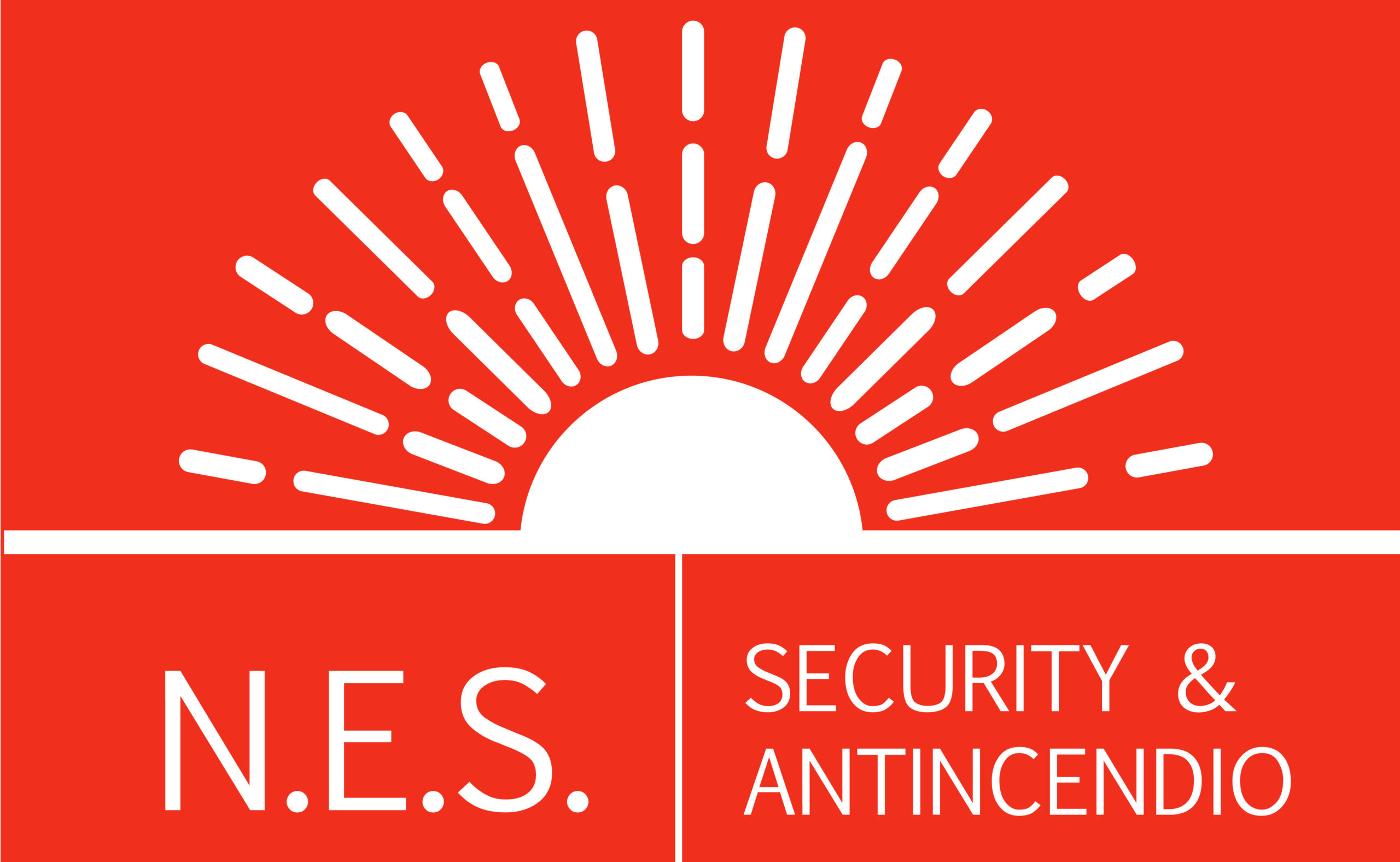 nes-security e antincendio